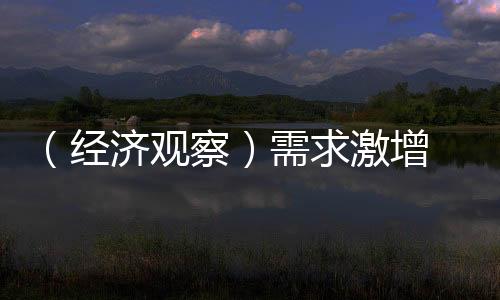 （經(jīng)濟觀察）需求激增 中國算力產(chǎn)業(yè)加速生長