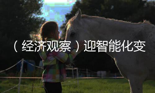 （經(jīng)濟觀察）迎智能化變局 中國車企競爭轉(zhuǎn)向