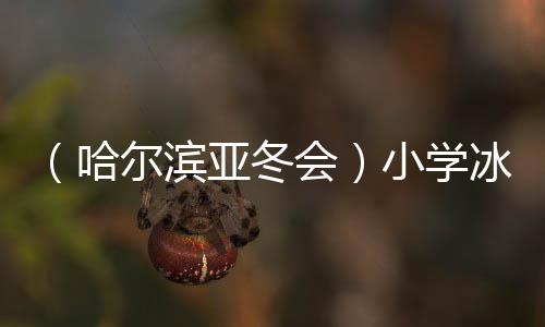 （哈爾濱亞冬會）小學(xué)冰球館化身亞冬冰壺館獲點贊