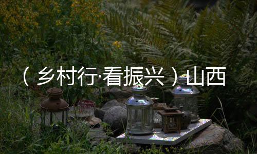（鄉(xiāng)村行·看振興）山西高平：大棚蔬菜育苗忙  萬(wàn)象“耕”新繪“豐”景