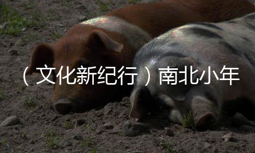 （文化新紀(jì)行）南北小年為何“打開方式”不同？