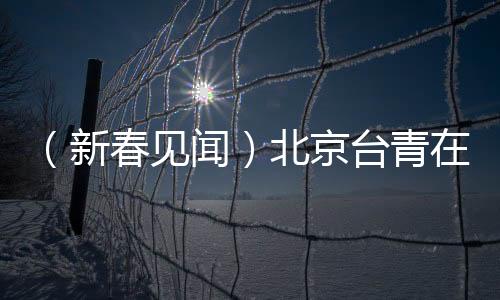 （新春見聞）北京臺青在“鼓舞”中迎接新年
