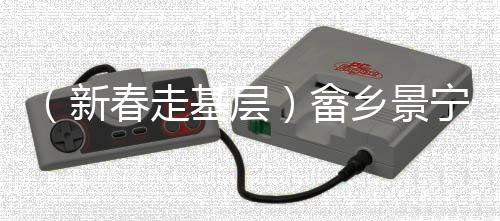 （新春走基層）畬鄉(xiāng)景寧春節(jié)特寫：“我在畬族當(dāng)公主”