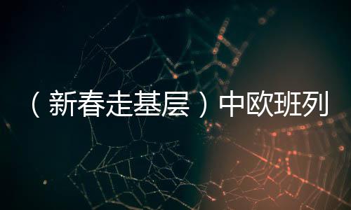 （新春走基層）中歐班列上的“青春力量”