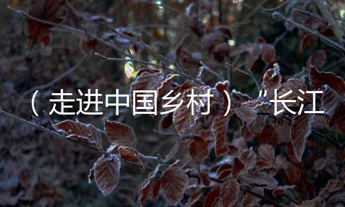 （走進(jìn)中國(guó)鄉(xiāng)村）“長(zhǎng)江蔬菜島”的飛行故事