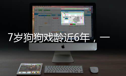 7歲狗狗戲齡近6年，一位演藝界的特殊明星