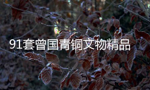 91套曾國青銅文物精品亮相廣西南寧