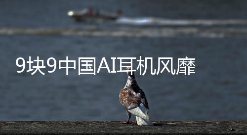9塊9中國AI耳機(jī)風(fēng)靡全球，老外爭相搶購