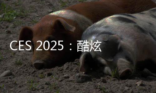 CES 2025：酷炫！聯(lián)想發(fā)布世界首臺卷軸屏筆記本ThinkBook Plus Gen 6 Rol