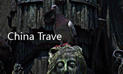 China Travel邂逅中國(guó)年，一場(chǎng)別開生面的文化之旅