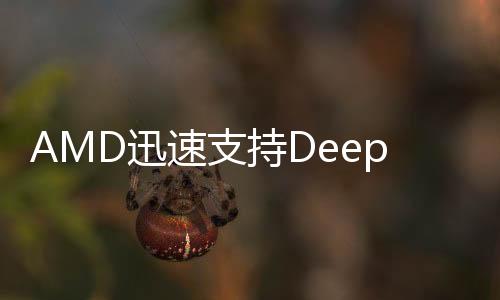 AMD迅速支持DeepSeek，共同打造計(jì)算未來的新篇章