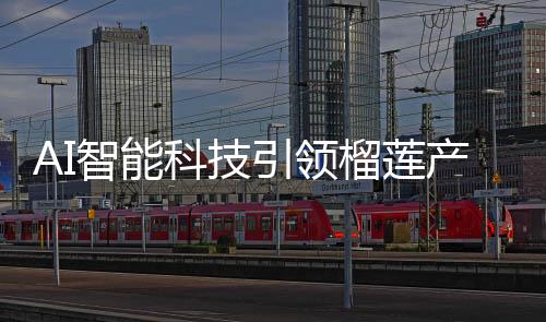AI智能科技引領(lǐng)榴蓮產(chǎn)業(yè)革新，精準(zhǔn)挑選出肉率高達(dá)50%的榴蓮果實(shí)