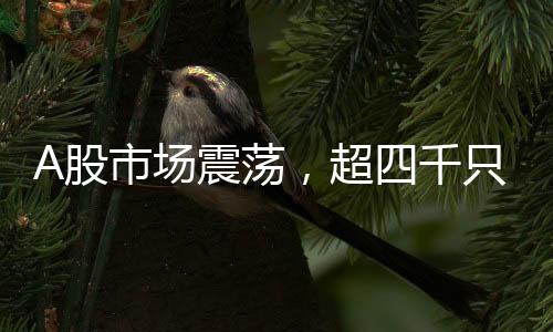 A股市場震蕩，超四千只股票遭遇下跌潮