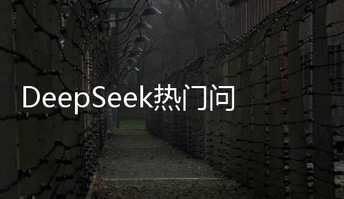 DeepSeek熱門(mén)問(wèn)題與解答導(dǎo)讀