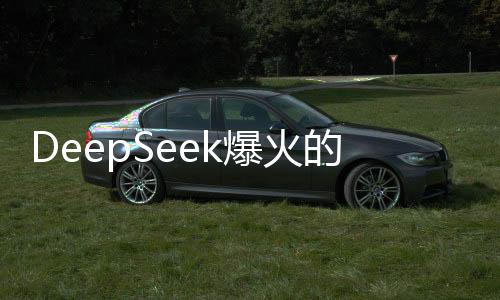 DeepSeek爆火的啟示，探尋成功背后的深層動(dòng)因