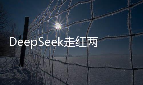 DeepSeek走紅兩會，神秘的回應背后的故事