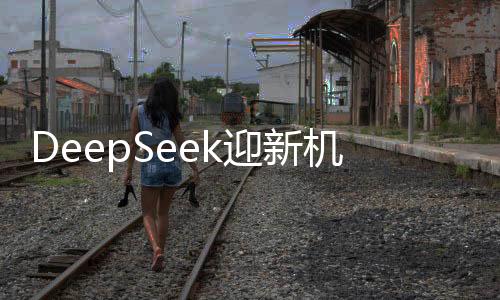 DeepSeek迎新機(jī)遇面臨冷靜觀(guān)察——業(yè)內(nèi)潑冷水現(xiàn)象深度解析