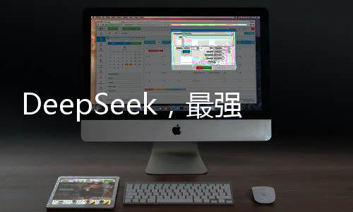 DeepSeek，最強女委員，無人能敵的格斗風采