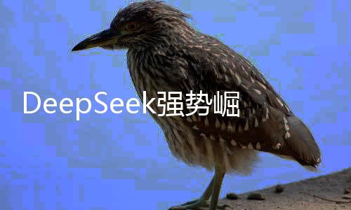 DeepSeek強(qiáng)勢(shì)崛起，開源且實(shí)惠，用戶體驗(yàn)火爆
