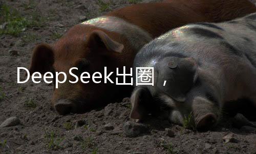 DeepSeek出圈，概念股曝光，引領(lǐng)新一輪科技熱潮