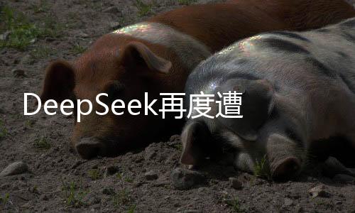 DeepSeek再度遭遇宕機(jī)故障，服務(wù)中斷引發(fā)關(guān)注