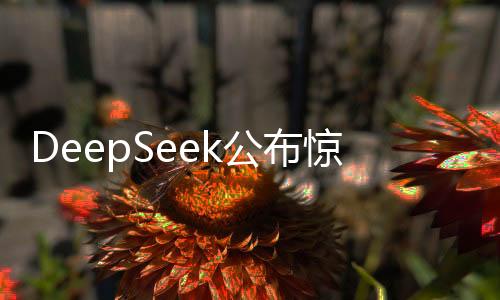 DeepSeek公布驚人理論利潤率達(dá)545%，引領(lǐng)技術(shù)革新，展望未來發(fā)展