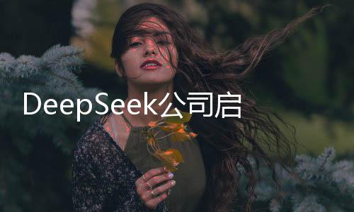 DeepSeek公司啟動實習生招募計劃，日薪最高達上千，實習機遇無限等你來挑戰(zhàn)！