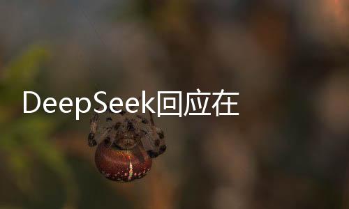 DeepSeek回應(yīng)在兩會走紅，嘿嘿