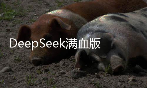 DeepSeek滿血版，全新升級，引領科技新紀元