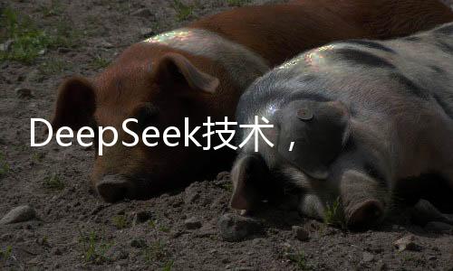DeepSeek技術(shù)，醫(yī)生的新伙伴，助力醫(yī)療領(lǐng)域邁向新高度