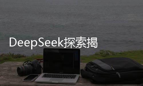 DeepSeek探索揭秘之旅，小力背后的奇跡締造者