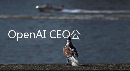 OpenAI CEO公開否認將起訴DeepSeek，揭示AI技術發(fā)展新動向