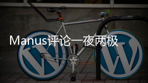 Manus評論一夜兩極分化，一場意見的風暴分析