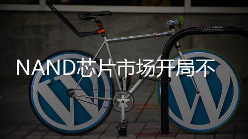 NAND芯片市場開局不利，行業(yè)面臨嚴(yán)峻挑戰(zhàn)
