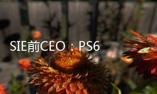 SIE前CEO：PS6仍有可能保留光驅(qū)