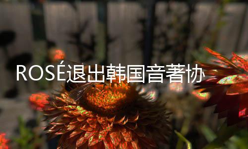 ROSé退出韓國音著協(xié) 將由美國著作權協(xié)會統(tǒng)一管理