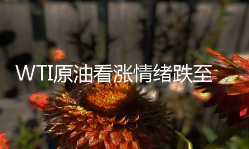 WTI原油看漲情緒跌至十四年新低，市場(chǎng)分析與展望