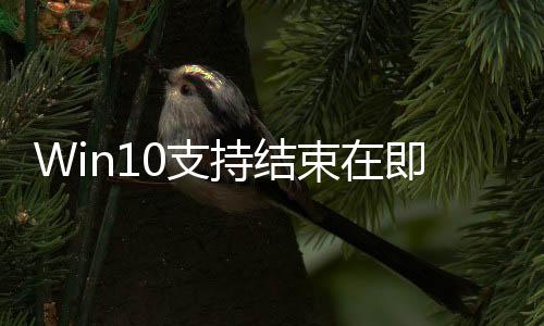 Win10支持結(jié)束在即！Win11份額大增創(chuàng)歷史新高