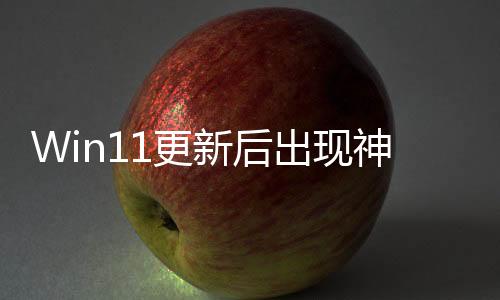 Win11更新后出現(xiàn)神秘文件夾！微軟：別刪，不是Bug