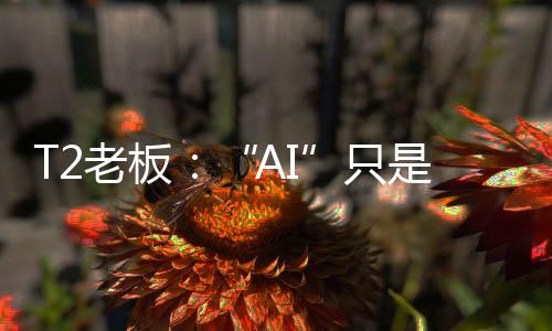 T2老板：“AI”只是熱詞 游戲開(kāi)發(fā)數(shù)字工具早已存在