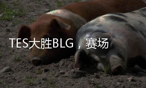 TES大勝BLG，賽場精英再現(xiàn)輝煌