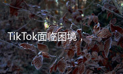 TikTok面臨困境，白宮無保證，平臺(tái)只能關(guān)閉——一場(chǎng)沒有贏家的博弈