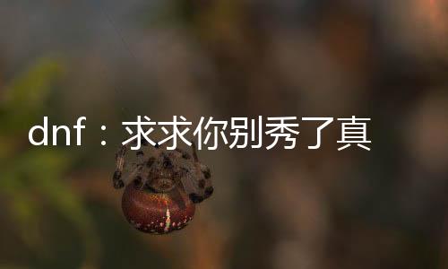 dnf：求求你別秀了真沒錢充了