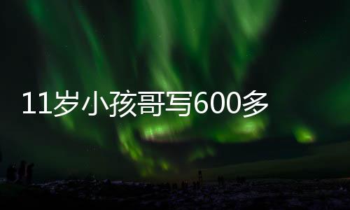 11歲小孩哥寫600多行代碼造火箭火了：自學(xué)編程、物理化學(xué)