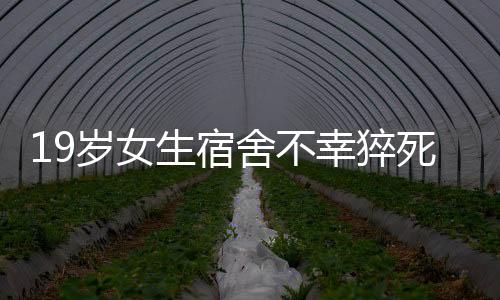 19歲女生宿舍不幸猝死，舍友誤以為睡懶覺——校園安全警鐘長鳴