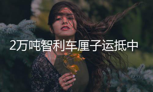 2萬噸智利車?yán)遄舆\(yùn)抵中國，深化兩國經(jīng)貿(mào)合作的果實(shí)盛宴