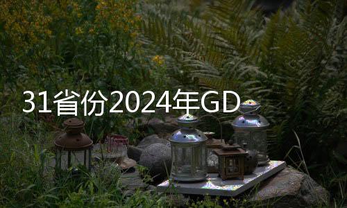 31省份2024年GDP出爐，經(jīng)濟(jì)發(fā)展動(dòng)態(tài)與區(qū)域差異解析