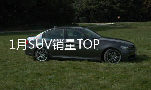 1月SUV銷量TOP 10，熱門車型競(jìng)相輝映，自主品牌嶄露頭角