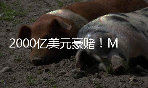 2000億美元豪賭！Meta正在商討建設(shè)人工智能數(shù)據(jù)中心