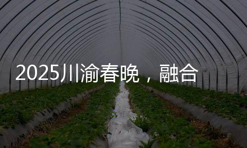 2025川渝春晚，融合兩地文化，共迎新春佳節(jié)